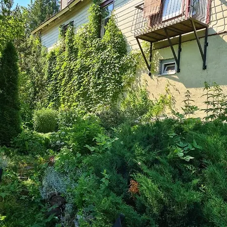 Appartement Lossi 8-6 Lonny Joevaatega