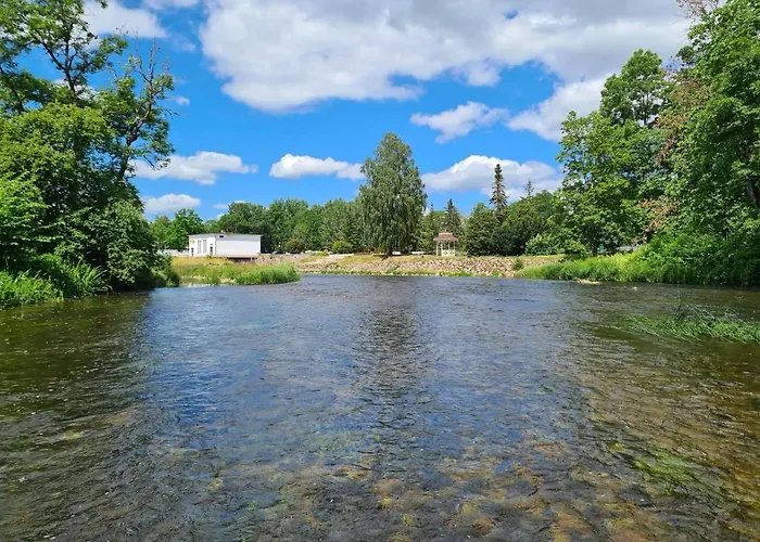 Lossi 8-6 Lonny Joevaatega