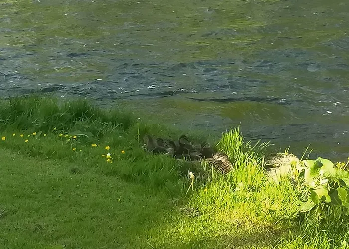 Lossi 8-6 Lonny Joevaatega Апартаменты *