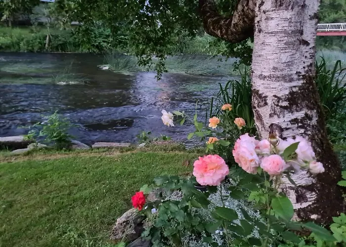 Lossi 8-6 Lonny Joevaatega Пылтсамаа