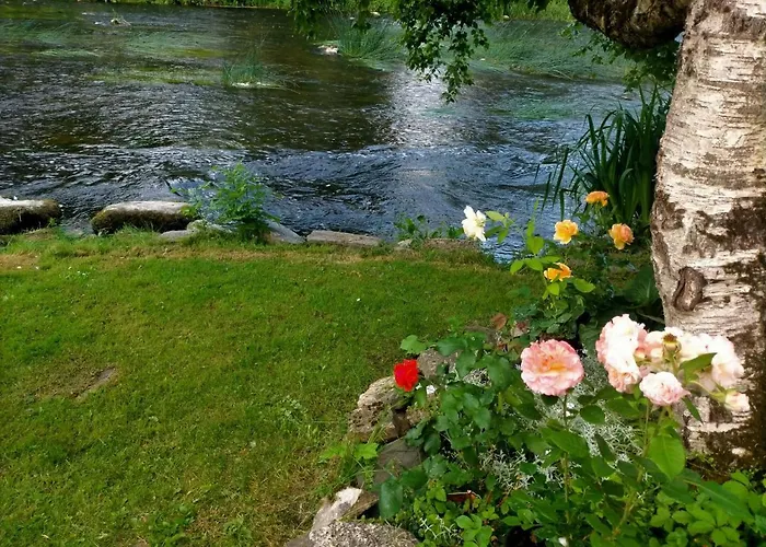 Lossi 8-6 Lonny Joevaatega