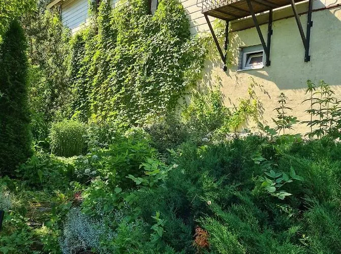 Apartment Lossi 8-6 Lonny Joevaatega